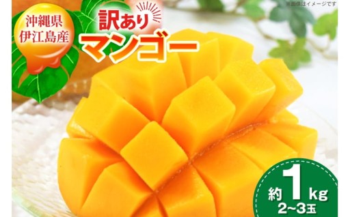 島育ちの贅沢。完熟伊江島マンゴー！