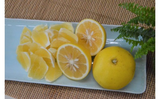 初夏の季節にピッタリ、上品で酸味と甘みが絶妙な土佐小夏！