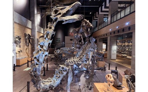 4月17日は何の日…🏜️🦖🦣🦕🌋