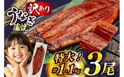 【丑の日 配送】ふっくら！特大サイズ うなぎ蒲焼
