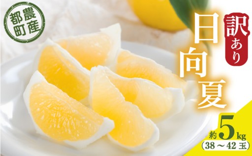 【宮崎県都農町】都農町産「訳あり日向夏」約5kg🍋