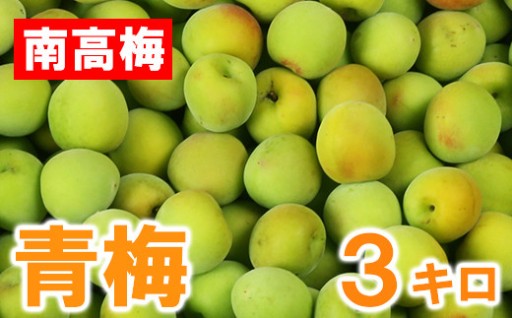 ひらそ農園の青梅 3kg