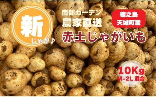 【農家直送】 徳之島 天城町産 赤土じゃがいも 10kg （ M～2L サイズ混合 ） 