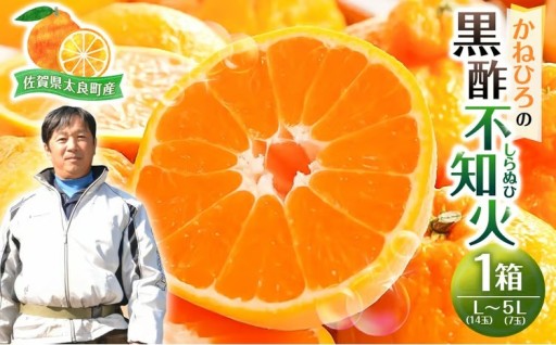 かねひろの黒酢不知火 1箱 L（14玉）～5L（7玉）