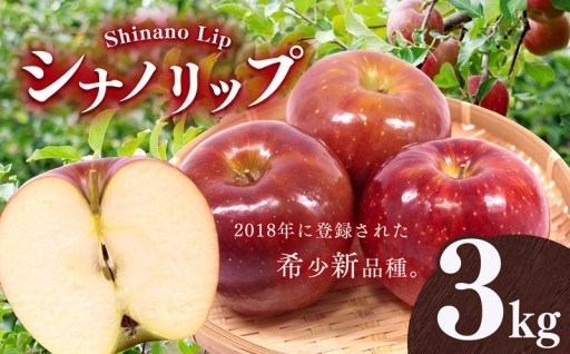 信州上伊那産 シナノリップ 約3kg （12玉）