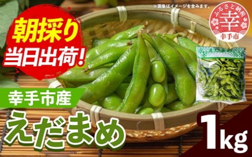 【🫛採れたての新鮮枝豆をお届け！🫛】きあり農園 2026年度 幸手市産 枝豆 1kg