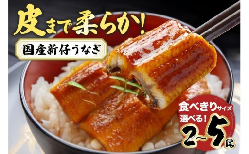 やわらか国内産 うなぎ蒲焼 食べ切りサイズ! 選べる 2尾～5尾 (100～120g×2尾～5尾)