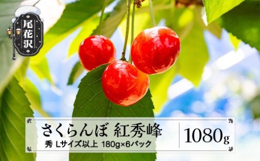 大粒で濃厚な甘さ パリッと食感《 🍒紅秀峰🍒　》