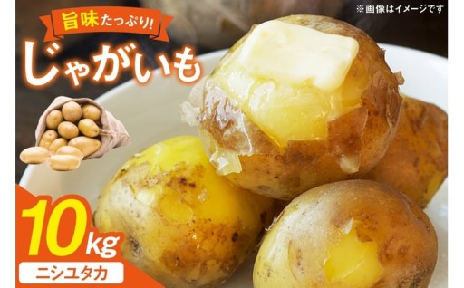 自然の恵みと愛情をたっぷり受けて育ったじゃがいも