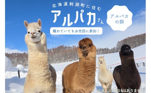 離れていてもお世話に参加！アルパカのエサ