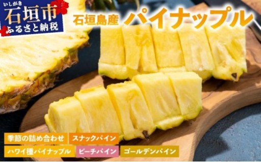 【訳あり】 石垣島産『パイナップル』