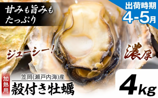 【笠岡産 殻付き牡蠣】お申し込みは4月13日（月）まで！！