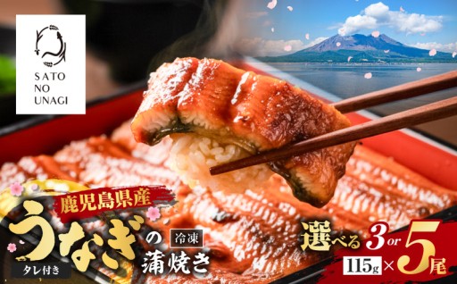 ★新登場★　鹿児島県産 うなぎ蒲焼をご紹介！