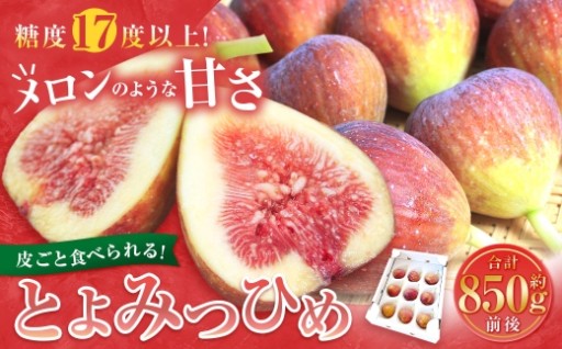 【先行予約】皮ごと食べれる！とよみつひめ 約850g