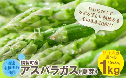 ＼朝採れのごちそう🌿／清流育ちアスパラガス1kg（夏芽）2026年発送🎁