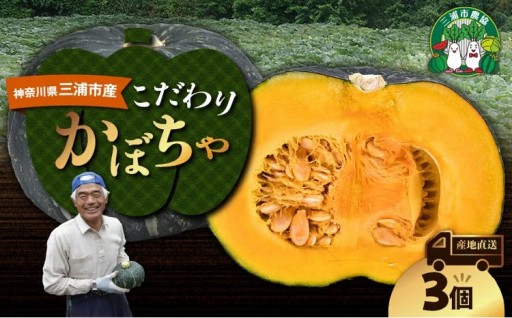 三浦市産　三浦こだわりかぼちゃのご紹介✨