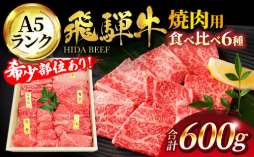 ╲BBQにいかがでしょうか／彩り豊かな飛騨牛6種食べ比べセット