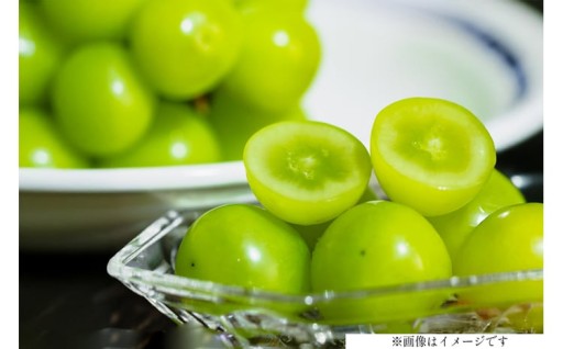 大粒で皮ごと食べられる人気のぶどう！！