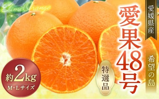 【希望の島】 愛果48号 特選品 中玉 2kg