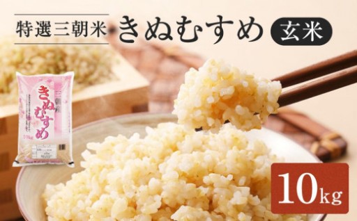 【先行予約】令和7年産　新米　米　特選三朝米　きぬむすめ　三朝町産　10kg　玄米