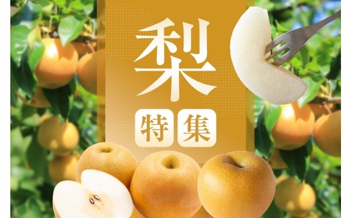 鳥取市 ふるさと納税返礼品　～旬の味覚 梨特集～