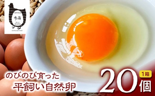 稲沢の自然が育む「歩荷」の平飼い自然卵
