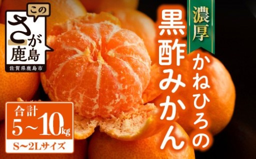 かねひろの黒酢みかん【5kg 10kg S～2L サイズ別】先行予約《11月下旬～1月上旬頃発送予定》