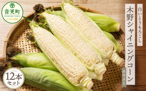 ［先行受付］北海道十勝産 木野シャイニングコーン12本セット【A15】2026年8月中旬頃より順次発送