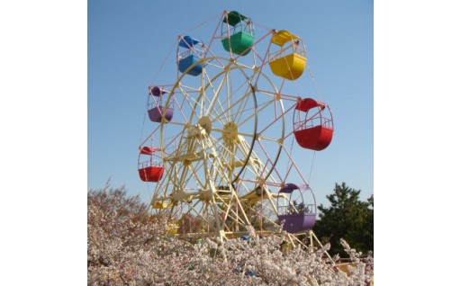 養老ランド 入場券　乗り物券セット✨