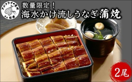 ≪7月発送先行予約受付中》うなぎで免疫力を高め、代謝力UP❗💪