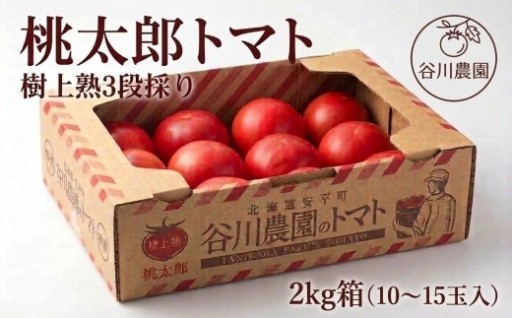 樹上熟3段採り 桃太郎トマト / 正品2kg箱(10～15玉入)