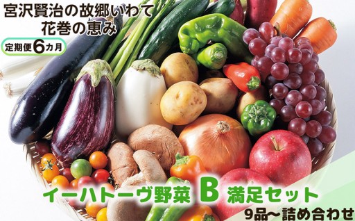 【定期便6ヶ月】見た目もお腹も大満足！花巻の新鮮野菜をお届けします！