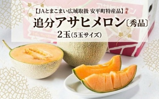 追分アサヒメロン〔秀品〕2玉(5玉サイズ)
