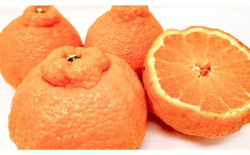 4月14日は何の日でしょう？🍊✨