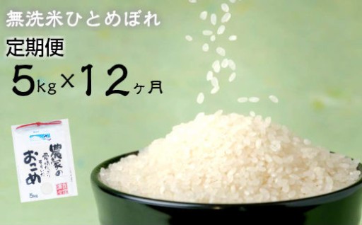 【5kg 定期便 12ヶ月 】 ふっくらと甘み豊かな無洗米