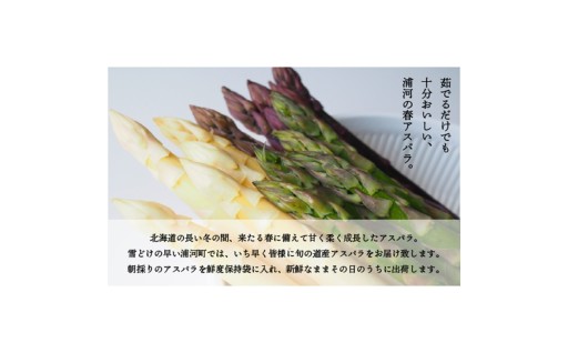 【今が旬✨数量限定アスパラです！】