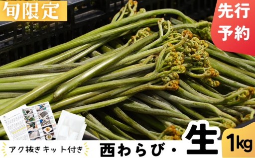 【先行予約】この時期だけ！西和賀のブランド山菜「西わらび」を生のままお届け