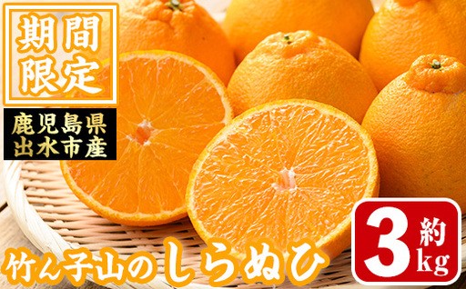  ≪数量・期間限定≫いずみ産 竹ん子山のしらぬひ(約3kg)