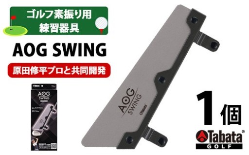 タバタ Tabata AOG SWING（アオグスイング） GV0379