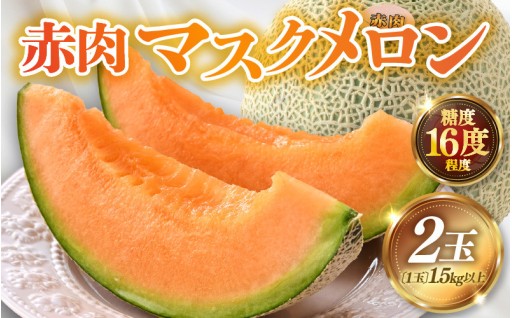 【高級メロン】口いっぱいに広がる甘さ✨農家直送🍈