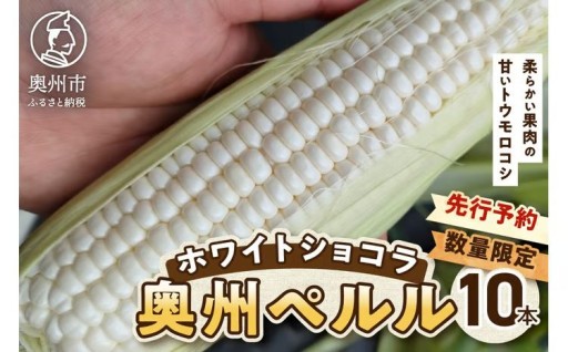 【先行予約】 白いとうもろこし 奥州ペルル ( ホワイトショコラ ) 10本 【数量限定】 [T0012]