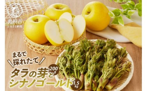 りんごと栽培タラの芽 果物 フルーツ 山菜 セット プレゼント 母の日 期間限定 離島配送不可 [BK009]