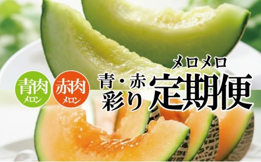 【品種おまかせ🌟 青肉・赤肉メロン🍈】旬の時期に2品種お届けします🚚