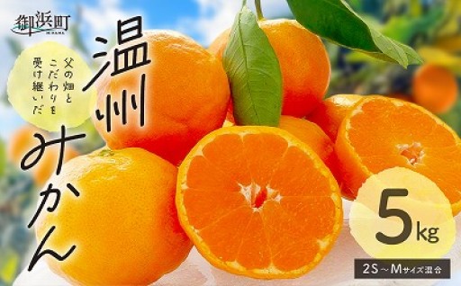 【園主厳選👀みかんのみお届け🚚】北東農園の温州みかん5キロ🍊