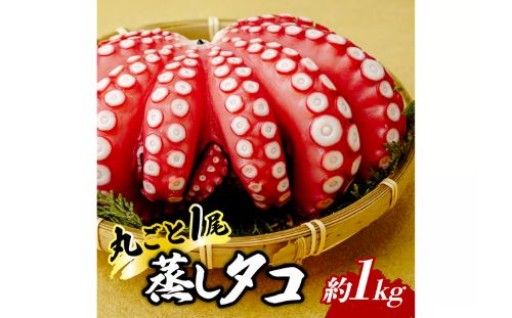【蒸し蛸】浜清水産の蒸し蛸 まるごと1匹(約1kg)をご紹介！
