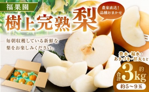 ≪先行受付≫ 福果園の樹上完熟梨 農家直送品種おまかせ（3kg程度）5～9玉