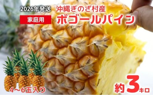 2026年発送】仲間農園の宜野座村産完熟ボゴールパイン約3kg（小玉4～6個） 