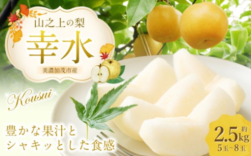 《先行予約》 「山之上果実農業協同組合」 山之上の梨 幸水 1箱 約 2.5kg 5-8玉
