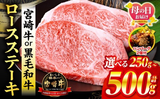 【宮崎県宮崎市】🥩ロースステーキ・牛ハンバーグ🥩