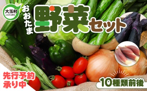 カテゴリー内2位獲得！リピーター続出！！野菜セット 10種類前後【先行予約】